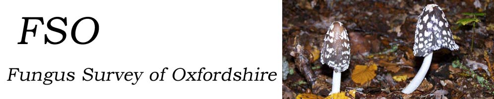 Fungus Survey of Oxfordshire
