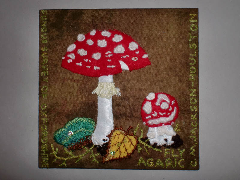 Amanita muscaria